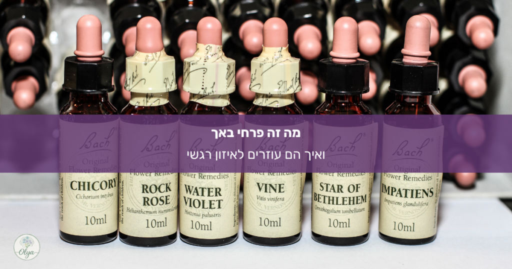 תהית מה זה פרחי באך ואיך התמציות עוזרות בטיפול רגשי לנשים? מדריך פשוט על איזון רגשי, הפחתת מתחים וחרדות בדרך טבעית ועדינה.